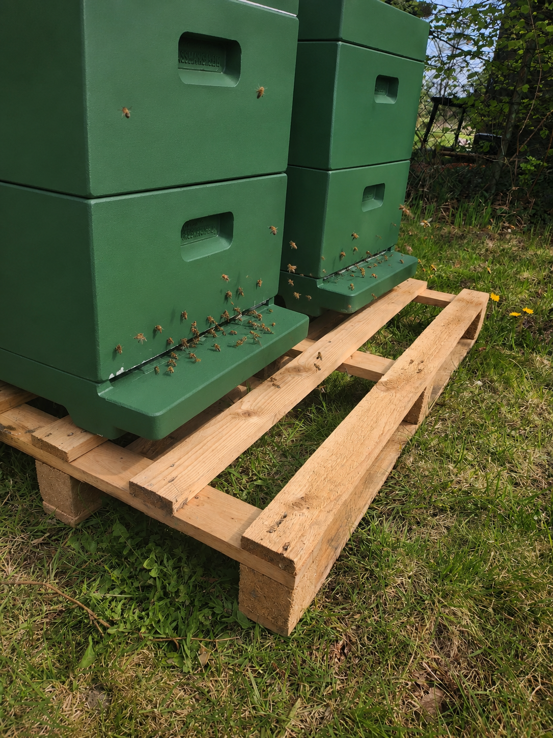 Bienenstock von Manufaktur-Chris – Imkerei in Walsrode